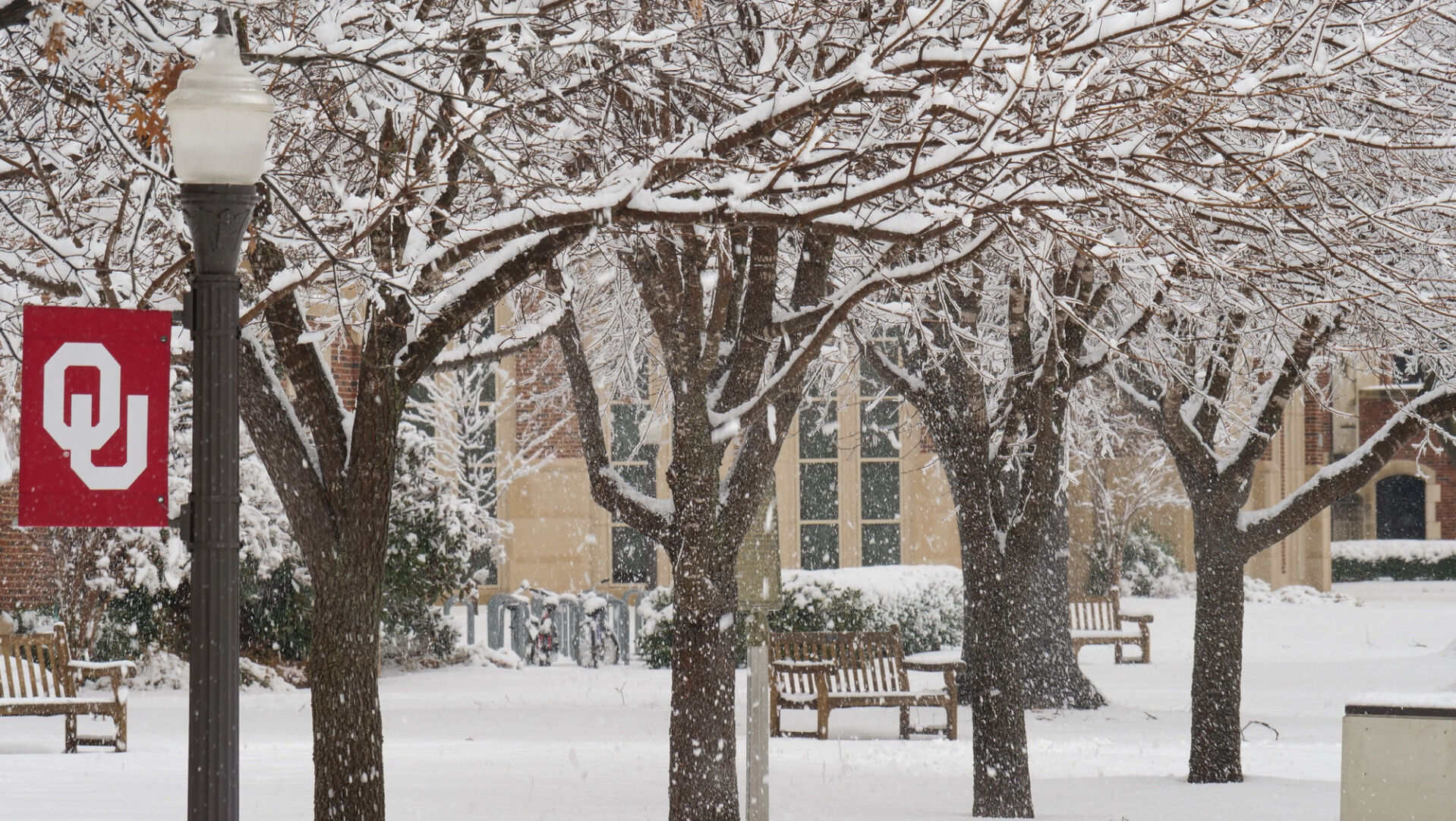Snow on the South Oval